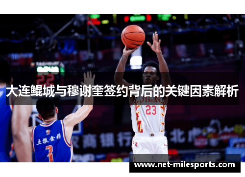 大连鲲城与穆谢奎签约背后的关键因素解析